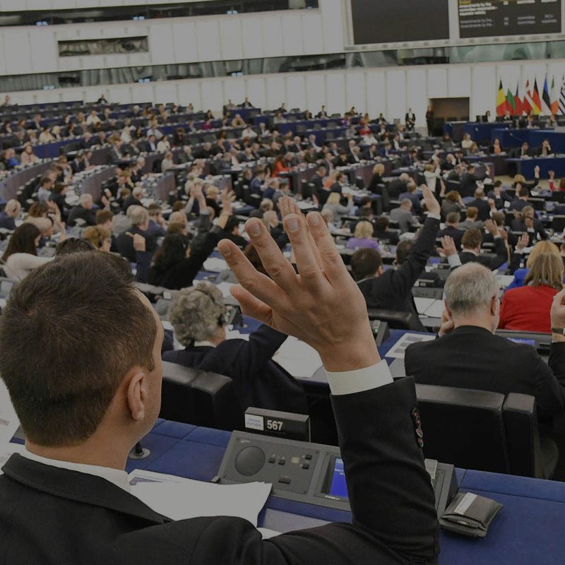 EP Plenary session - Voting session